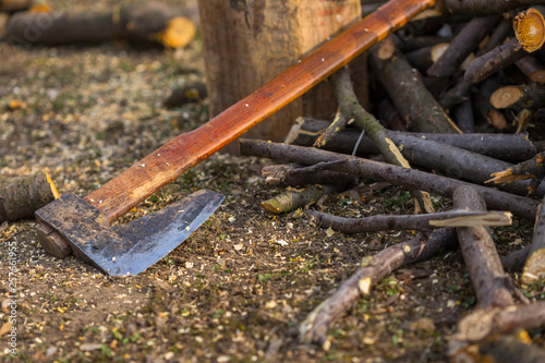 Old ax with a wooden handle on the ground next to a group of branches.