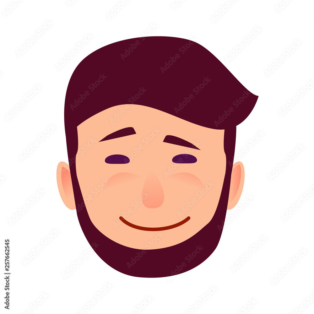 Facial expression of sarcasm isolated on white background. Bearded man with arched eyebrow, piercing eyes and sarcastic smile vector illustration. Mockery manifestation on male character face. Facial expression of sarcasm isolated on white background. Bearded man with arched eyebrow, piercing eyes and sarcastic smile vector illustration. Mockery manifestation on male character face.