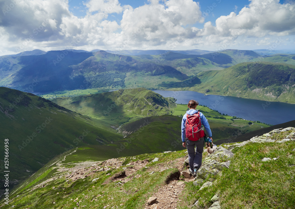 A female hiker and their dog descending from Grasmoor down Lad Hows above Buttermere on a sunny day in the English Lake District, UK. A female hiker and their dog descending from Grasmoor down Lad Hows above Buttermere on a sunny day in the English Lake District, UK.