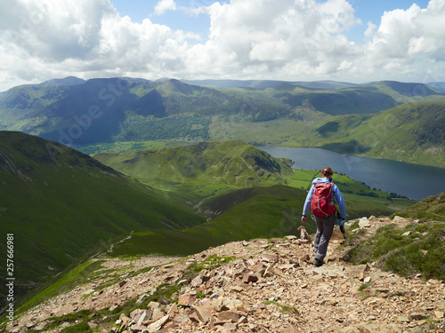 A female hiker and their dog descending from Grasmoor down Lad Hows above Buttermere on a sunny day in the English Lake District, UK.