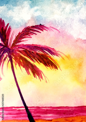 tropical background with palms