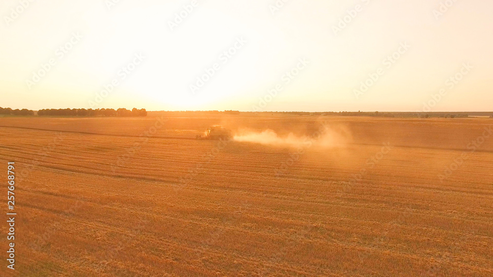 Combine harvester in the distance. Field during sunrise.