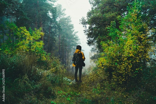 A lone man stands on a cliff in the forest among the yellow-green trees in the morning and looks through the impenetrable fog