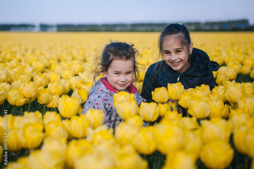 Adorable little girls playing in a field of blooming yellow tulips in Amsterdam region, Holland, Netherlands. Lovely spring concept. Adorable little girls playing in a field of blooming yellow tulips in Amsterdam region, Holland, Netherlands. Lovely spring concept.