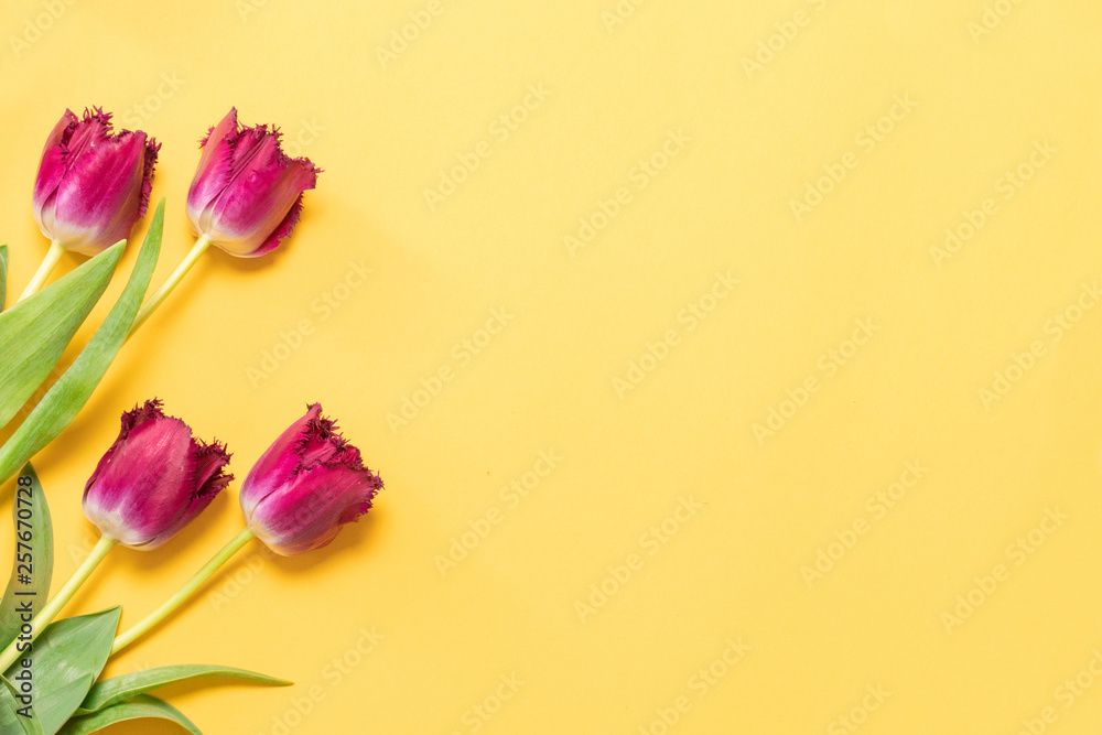 Bouquet of fresh tulips on yellow background with copy space Bouquet of fresh tulips on yellow background with copy space