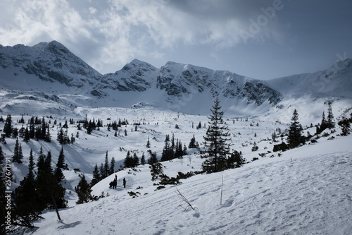 winter in the mountains