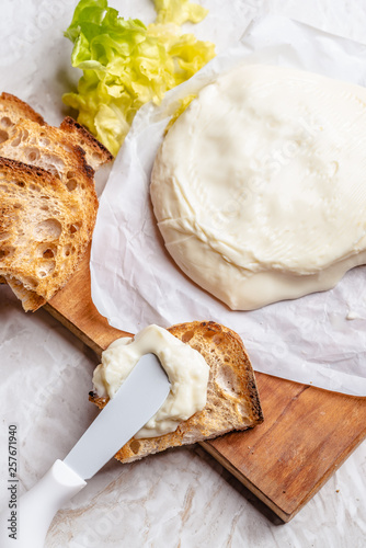 Italian spreadable cheese called stracchino served with slices of toasted bread 