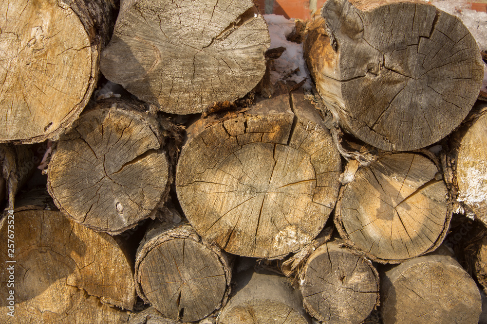 gray round dry tree stumps lie in rows gray round dry tree stumps lie in rows