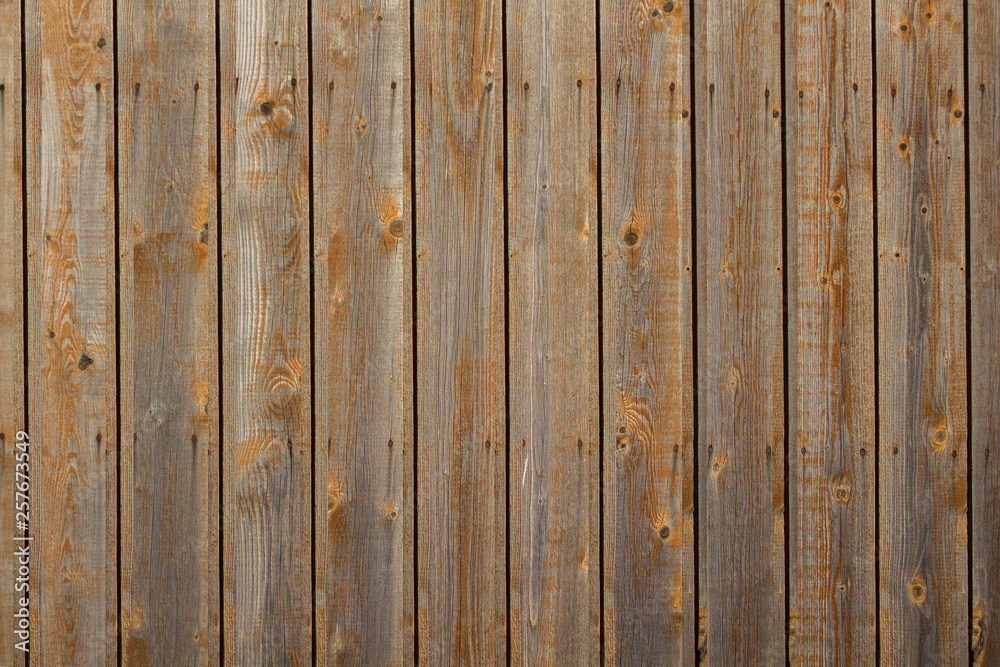 Obraz premium gray yellow fence of dry boards with nails. rough surface texture