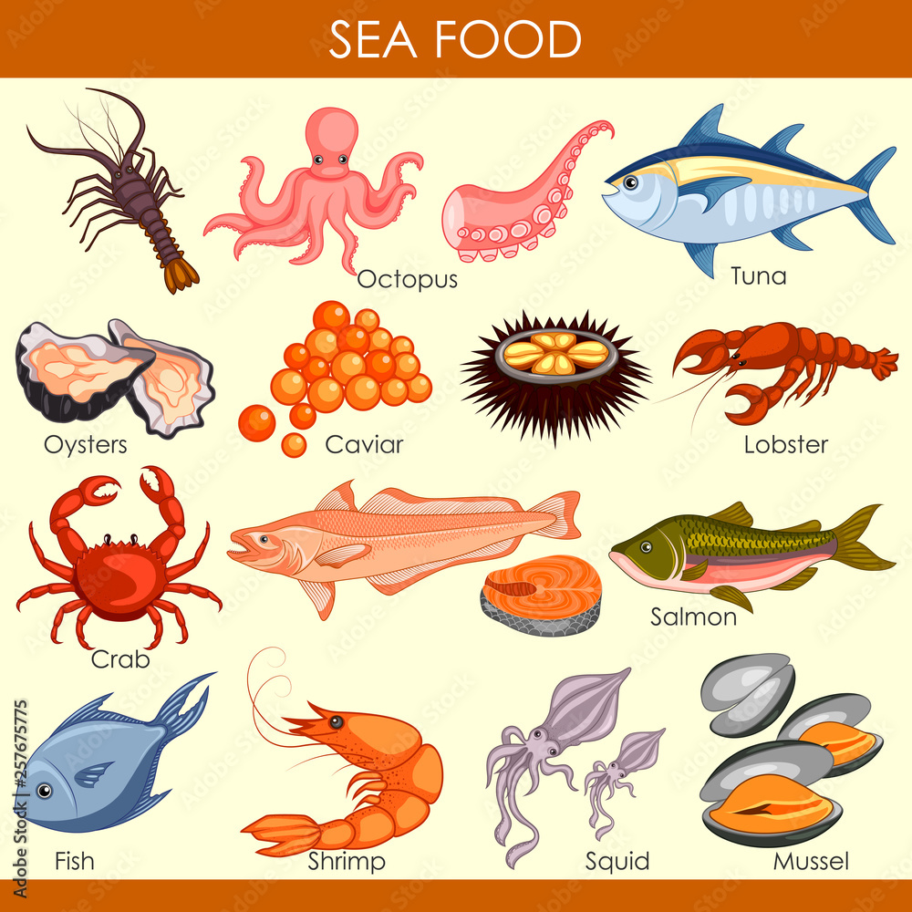 easy to edit vector illustration of different variety of Sea Food easy to edit vector illustration of different variety of Sea Food
