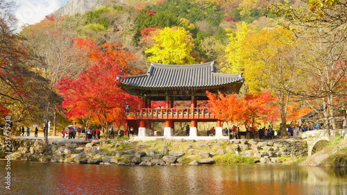 autumn in the forbidden city