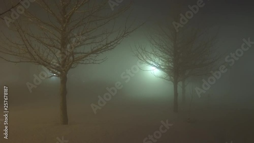 Barren trees shrouded by fog illimunated by street lights Reykjavik Iceland winter.mov photo