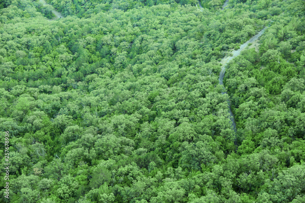 Obraz premium Aerial top view forest, Texture of forest view from above.