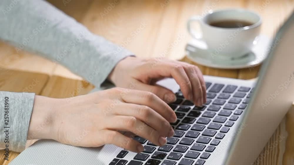 Female hands typing on a laptop keyboard, technology in life. Female hands typing on a laptop keyboard, technology in life.