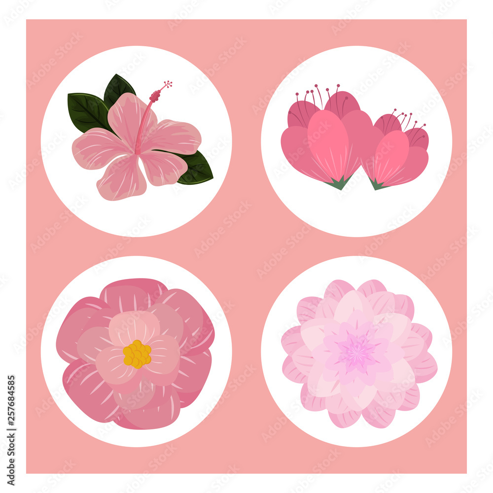 Flowers round icons