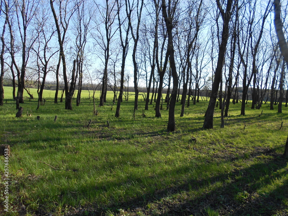 Obraz premium природа, пейзаж