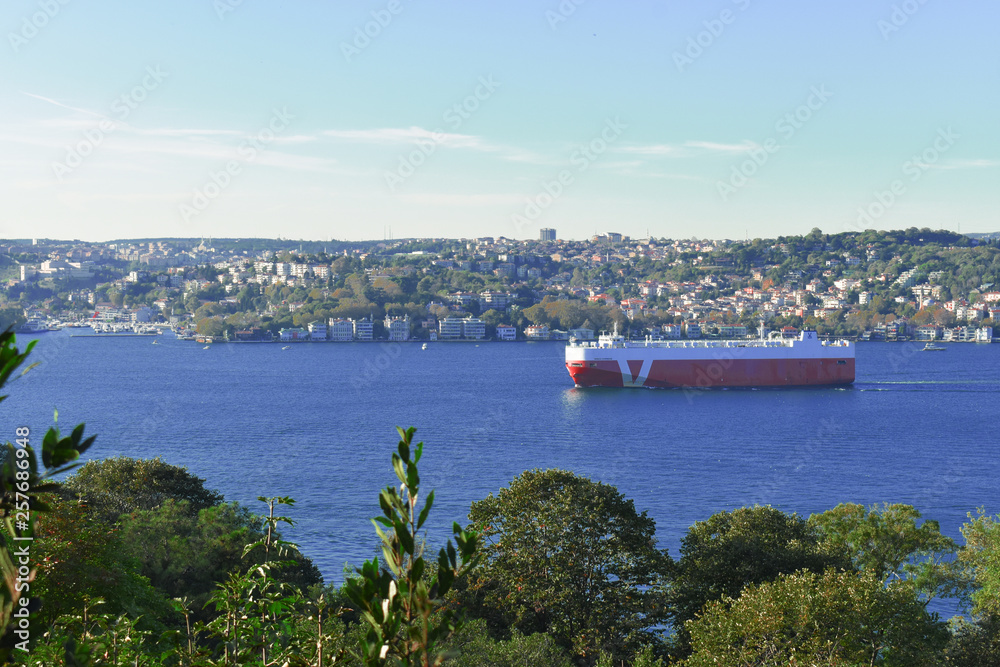 cargo boat passing through the Bosphorus Strait.