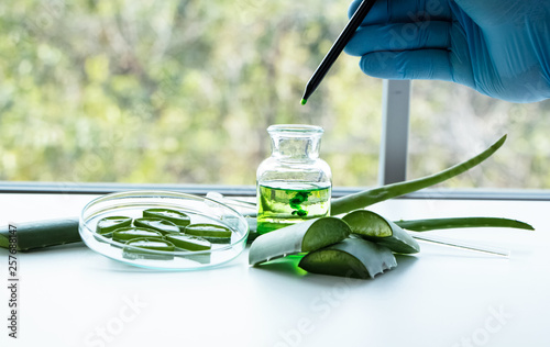 The scentist dropping nature organic extract lipuid in to glass bottle,aromatic essential research in Lab test photo