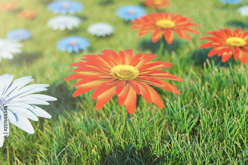 Beautiful loose orange flower on a background of grass on a sunny day.  Gerbera flower or margarita flower. Beautiful background for your design,  site, 3d illustration Stock Illustration | Adobe Stock