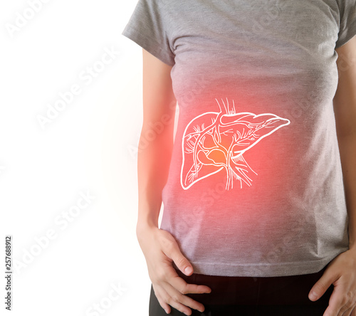 Digital composite of highlighted painful  liver of woman photo