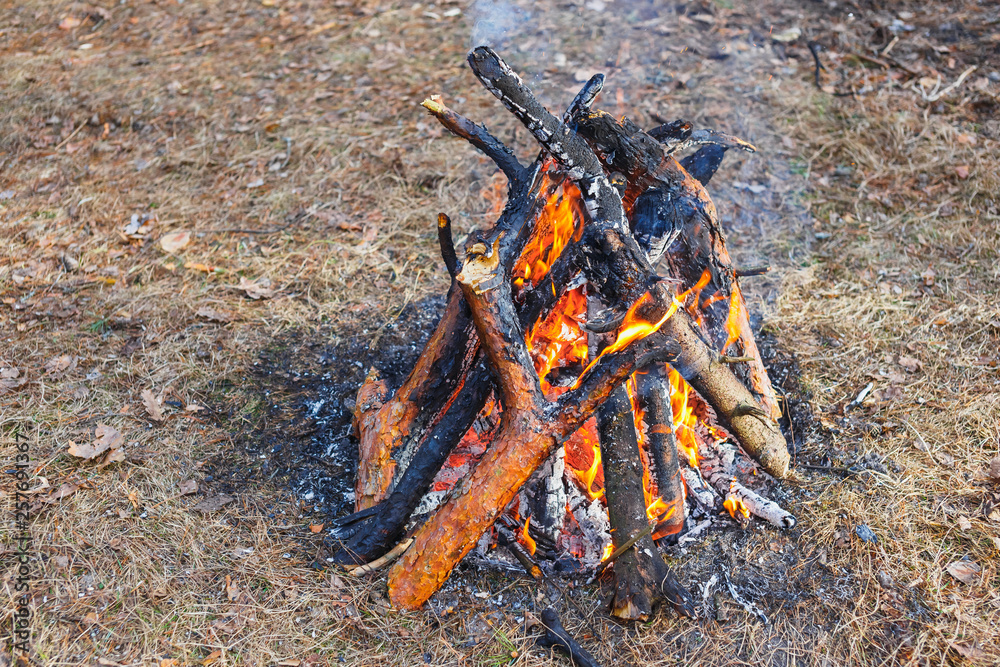 Bonfire in the spring forest on the background of withered grass. Bonfire in the spring forest on the background of withered grass.