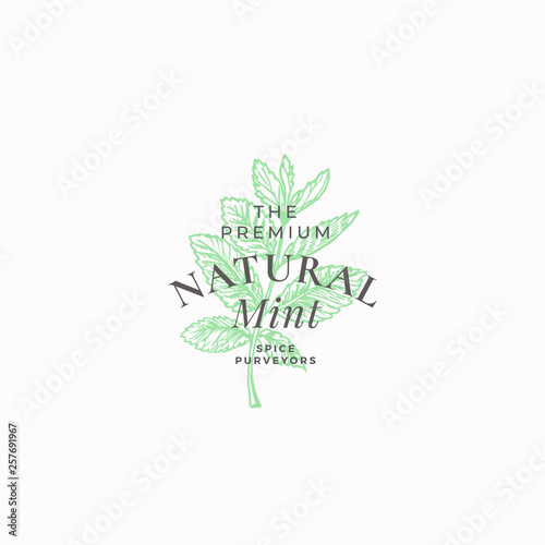 Premium Natural Mint Abstract Vector Sign  Symbol or Logo Template. Mint Branch with Leaves Sketch Illustration with Retro Typography. Vintage Luxury Emblem.