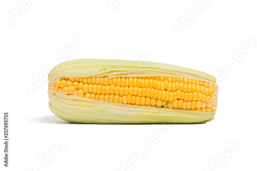 Single ear of sweet corn isolated on white background.