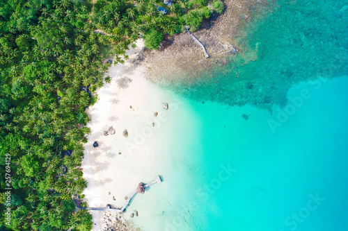 Aerial view sea island beach green coconut tree