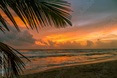 Beach, Sri Lanka © Madusha