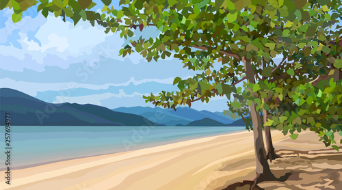 landscape of a sandy river bank with trees