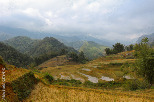 Vietnam