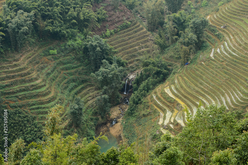 rice terraces in thailand
