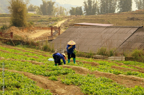 Vietnam