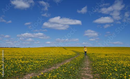 the girl is on the road in a field with yellow flowers. blue sky and clouds. the girl with her back to the camera.field with yellow dandelions