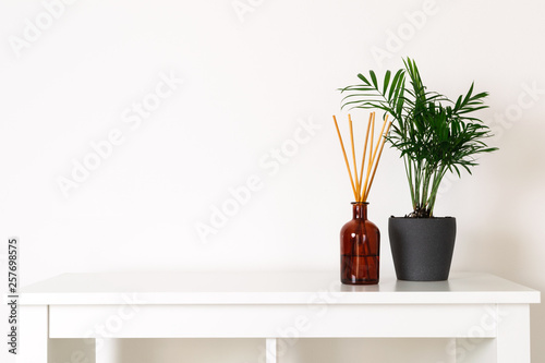 Scandinavian nordic hygge style, home interior - evergreen plant, scent aroma diffuser, white shelf