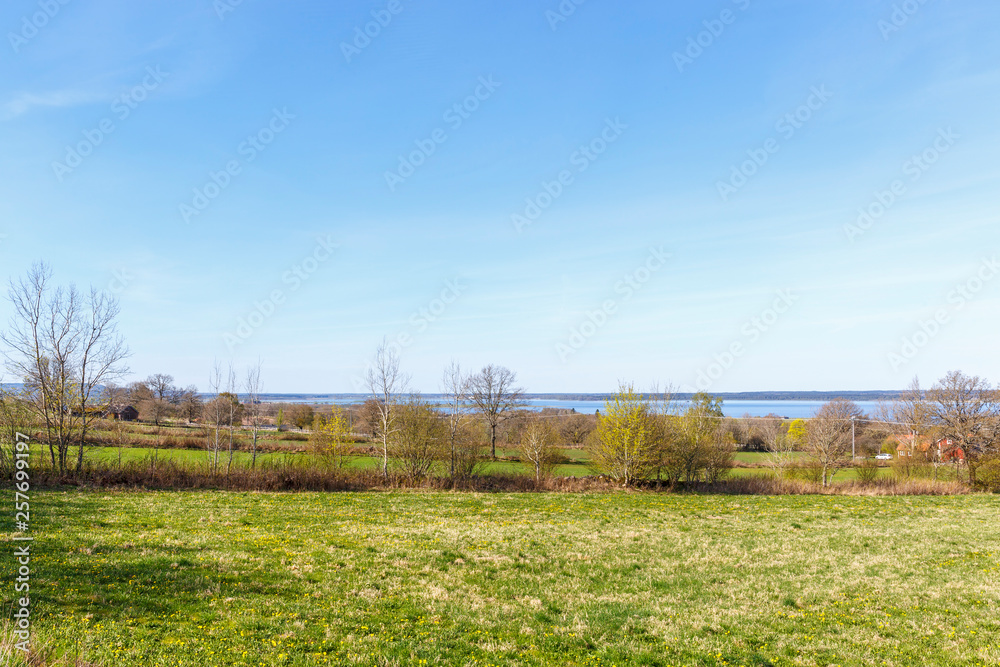 Meadows in spring with a beautiful landscape view with a lake