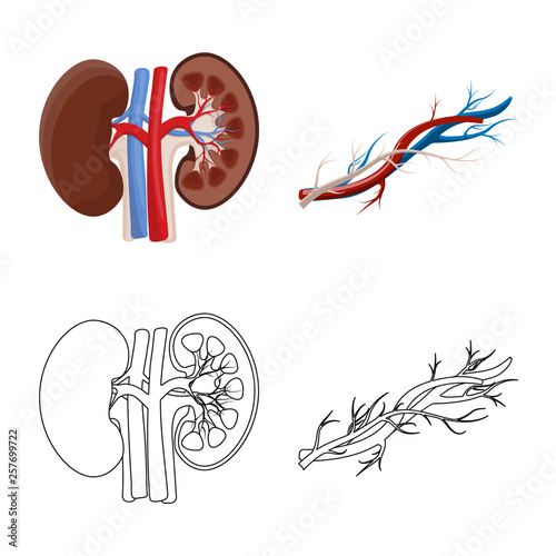 Vector design of body and human symbol. Set of body and medical stock symbol for web.