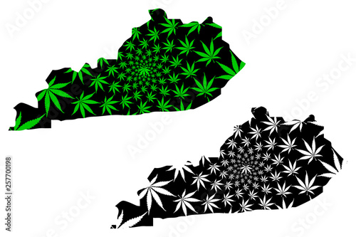 Commonwealth of Kentucky (United States of America, USA, U.S., US) -  map is designed cannabis leaf green and black, State of Kentucky map made of marijuana (marihuana,THC) foliage,
