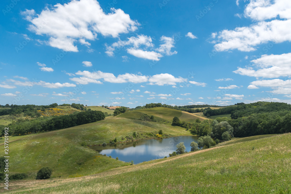 Naklejka premium paysage de campagne 