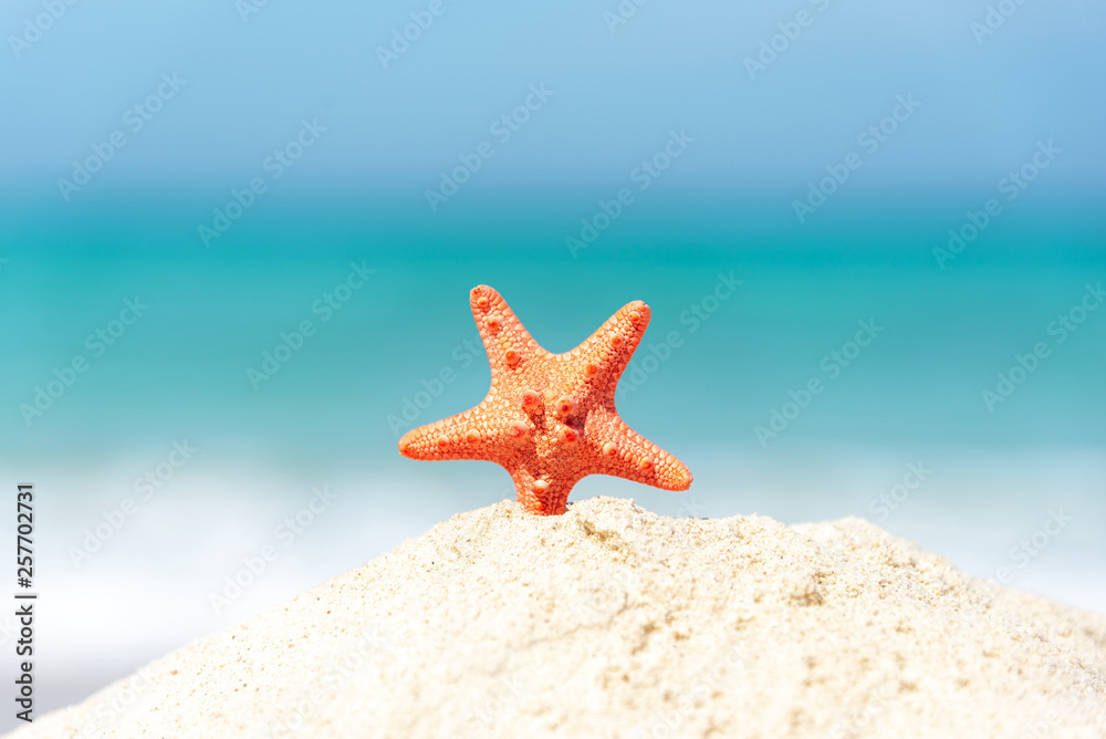Closeup starfish on the sand beach background blue sky. Summer and Travel Concept Closeup starfish on the sand beach background blue sky. Summer and Travel Concept
