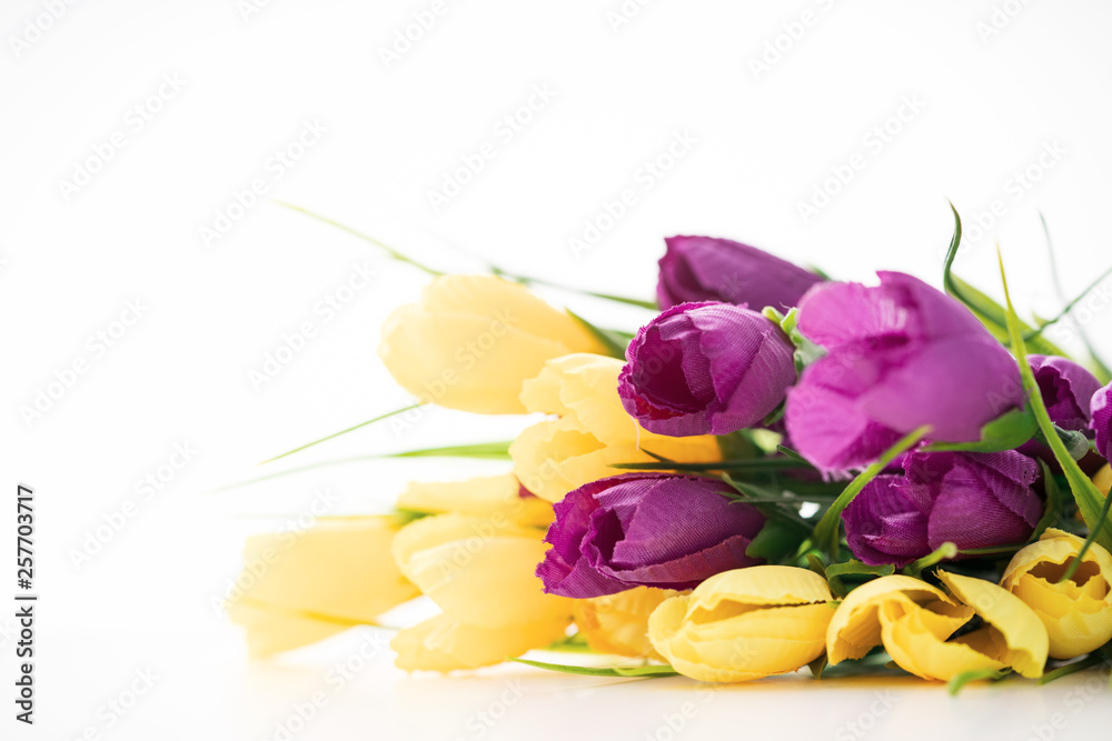 Bright beautiful flowers lie on a white background.