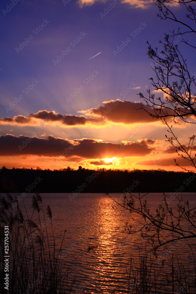 Naklejka premium Silhouette of reeds and buds of trees in front of a beautiful colorful sunset. Sun with its rays through the clouds over the lake