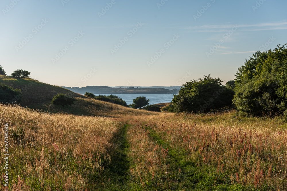 Fototapeta premium The landscape on island Ruegen, Germany