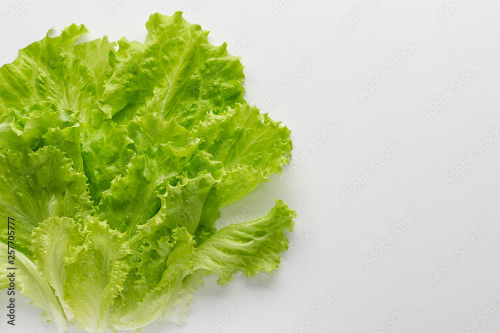 Fresh lettuce leaves on a white background. View from above. The concept of healthy eating. Fresh lettuce leaves on a white background. View from above. The concept of healthy eating.