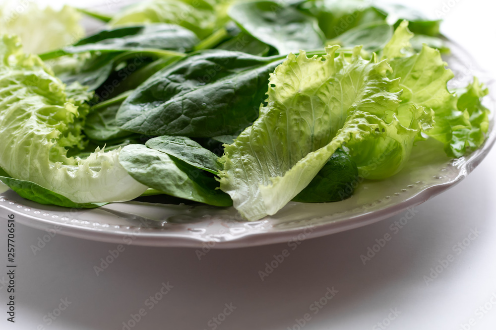 A mixture of spinach leaves and salana leaves on a plate. Selective focus, white background. A mixture of spinach leaves and salana leaves on a plate. Selective focus, white background.