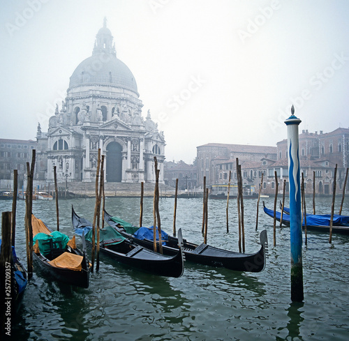Gondolas moored in the mist on the Grand Canal Venice with the Church of Santa Mari della Salute in the background © Garden Guru