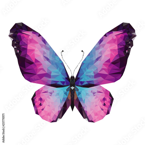 Colorful symmetrical butterfly in polygonal style on white background. illustration isolated. Symmetrical crystal abstract insect in geometry triangle style. Trendy modern logo design of insect