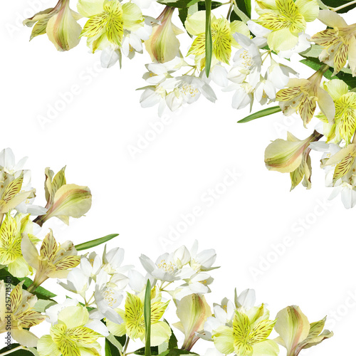 Beautiful floral background of Jasmine and yellow Alstroemeria. Isolated