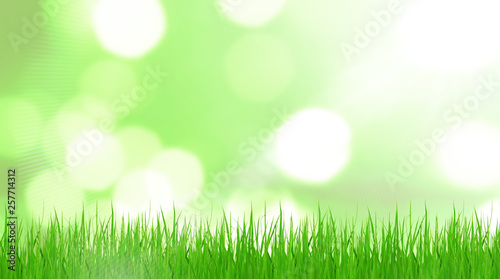 Spring Grass Background