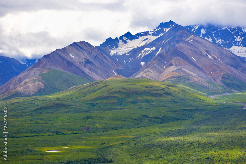 Fototapeta premium With its huge mountains and surrounded by a wonderful biodiversity lies the Denali National Park and Preserve. River, trees and cloud sky. Landscape, fine art. Parks Hwy, Alaska, EUA: July 28, 2018